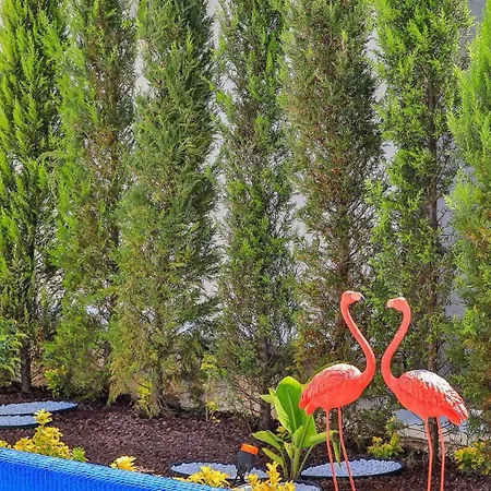 5 Bedroom Luxury With Private Pool * Kalkan